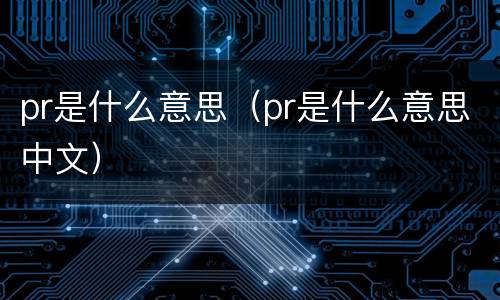 pr是什么意思（pr是什么意思中文）