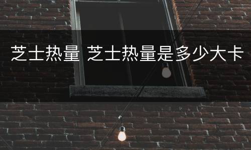 芝士热量 芝士热量是多少大卡