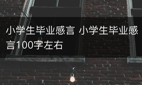 小学生毕业感言 小学生毕业感言100字左右