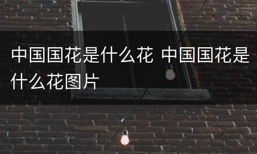 中国国花是什么花 中国国花是什么花图片