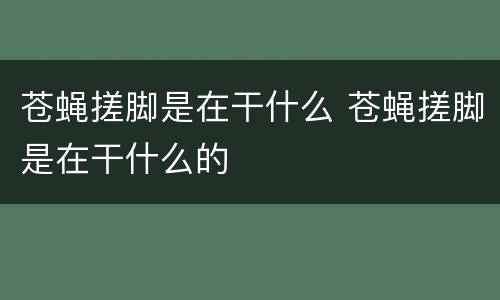 苍蝇搓脚是在干什么 苍蝇搓脚是在干什么的