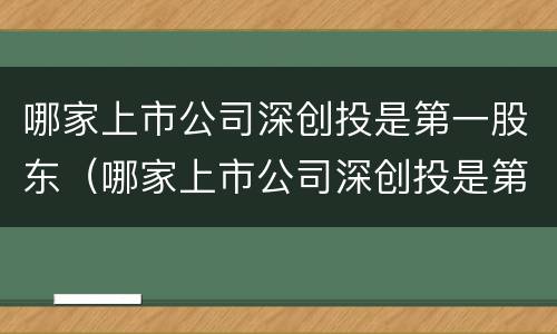 哪家上市公司深创投是第一股东（哪家上市公司深创投是第一股东）