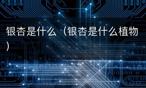 银杏是什么（银杏是什么植物）