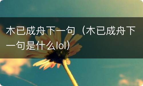 木已成舟下一句（木已成舟下一句是什么lol）