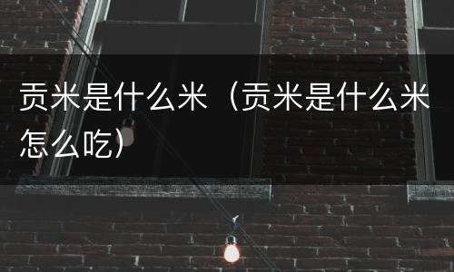 贡米是什么米（贡米是什么米怎么吃）