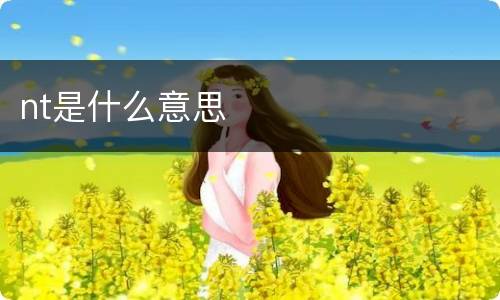 nt是什么意思