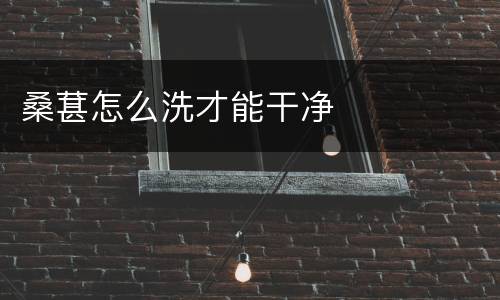 桑葚怎么洗才能干净