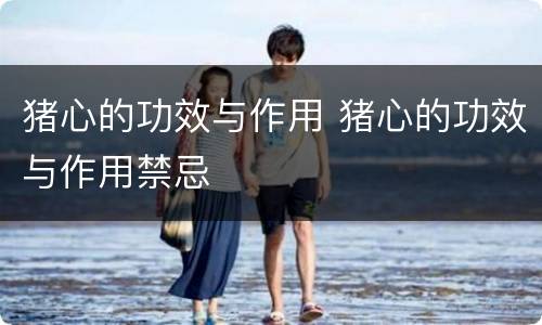 猪心的功效与作用 猪心的功效与作用禁忌