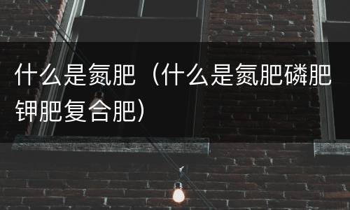 什么是氮肥（什么是氮肥磷肥钾肥复合肥）