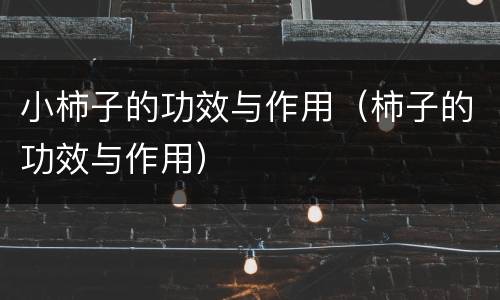 小柿子的功效与作用（柿子的功效与作用）