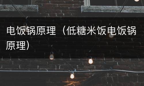 电饭锅原理（低糖米饭电饭锅原理）