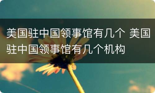 美国驻中国领事馆有几个 美国驻中国领事馆有几个机构