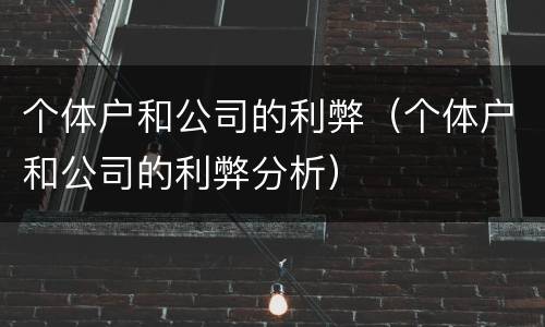 个体户和公司的利弊（个体户和公司的利弊分析）