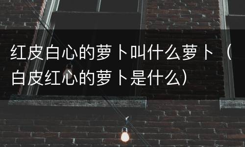 红皮白心的萝卜叫什么萝卜（白皮红心的萝卜是什么）