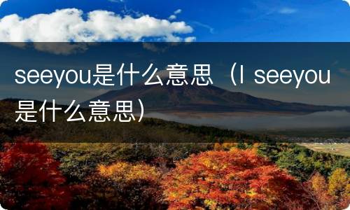seeyou是什么意思（I seeyou是什么意思）