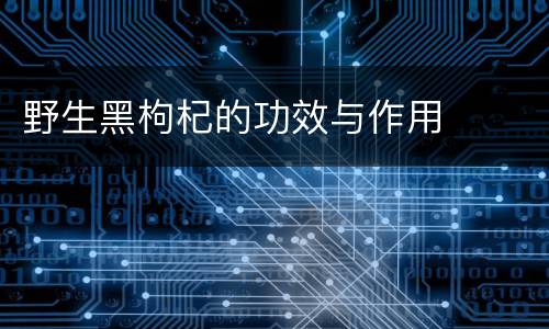 野生黑枸杞的功效与作用