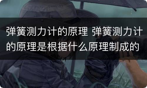 弹簧测力计的原理 弹簧测力计的原理是根据什么原理制成的