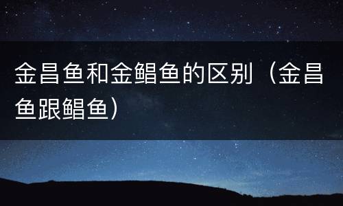 金昌鱼和金鲳鱼的区别（金昌鱼跟鲳鱼）