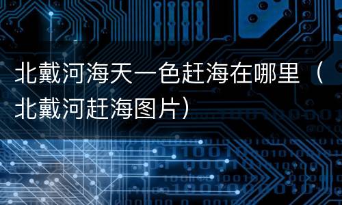 北戴河海天一色赶海在哪里（北戴河赶海图片）
