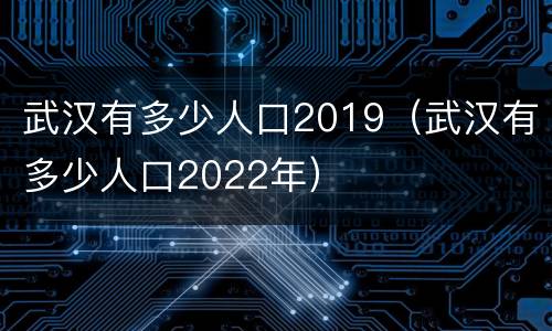 武汉有多少人口2019（武汉有多少人口2022年）