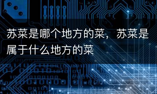 苏菜是哪个地方的菜，苏菜是属于什么地方的菜