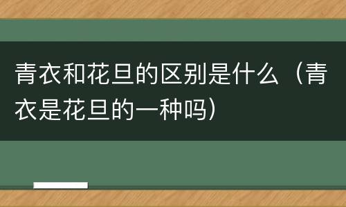 青衣和花旦的区别是什么（青衣是花旦的一种吗）