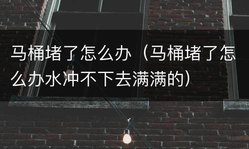 马桶堵了怎么办（马桶堵了怎么办水冲不下去满满的）