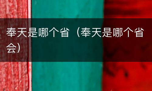 奉天是哪个省（奉天是哪个省会）