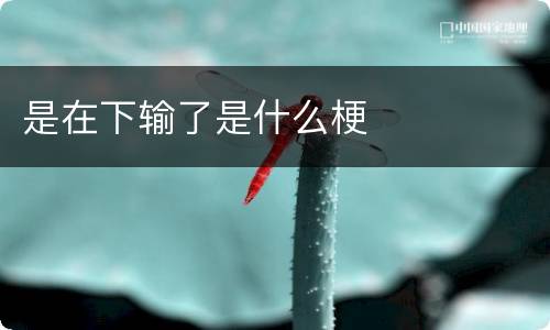 是在下输了是什么梗