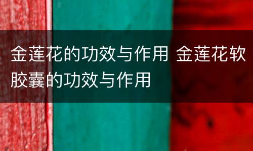 金莲花的功效与作用 金莲花软胶囊的功效与作用