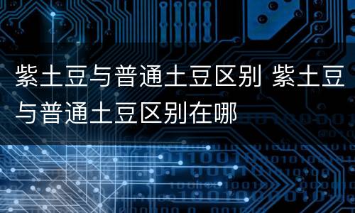紫土豆与普通土豆区别 紫土豆与普通土豆区别在哪