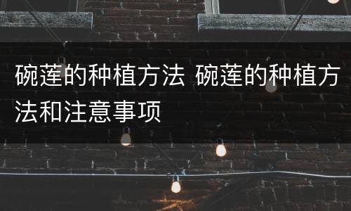 碗莲的种植方法 碗莲的种植方法和注意事项