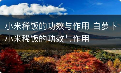 小米稀饭的功效与作用 白萝卜小米稀饭的功效与作用