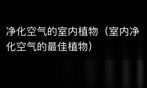 净化空气的室内植物（室内净化空气的最佳植物）