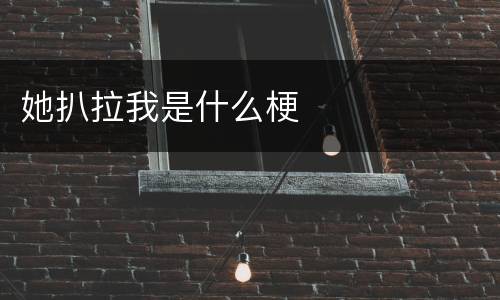 她扒拉我是什么梗