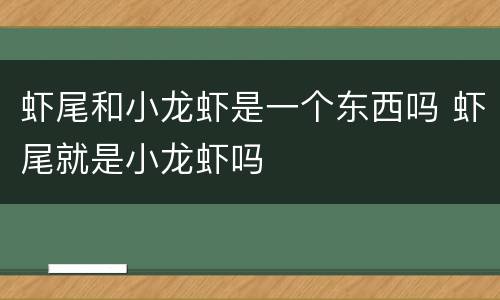 虾尾和小龙虾是一个东西吗 虾尾就是小龙虾吗