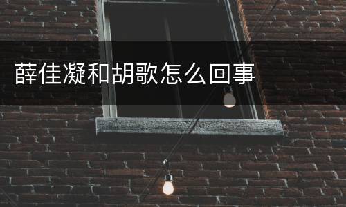 薛佳凝和胡歌怎么回事