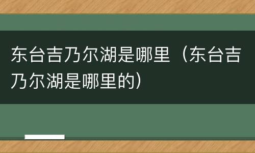 东台吉乃尔湖是哪里（东台吉乃尔湖是哪里的）