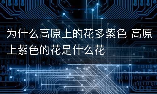 为什么高原上的花多紫色 高原上紫色的花是什么花