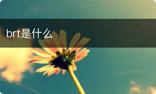 brt是什么