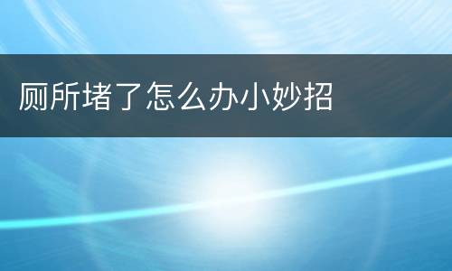 厕所堵了怎么办小妙招