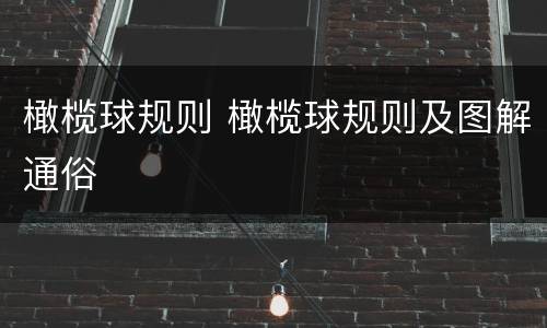 橄榄球规则 橄榄球规则及图解通俗