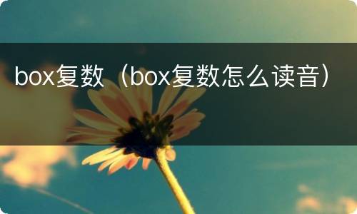 box复数（box复数怎么读音）