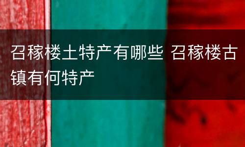 召稼楼土特产有哪些 召稼楼古镇有何特产