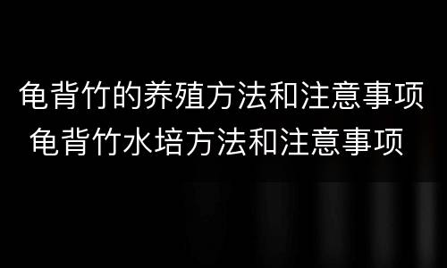 龟背竹的养殖方法和注意事项 龟背竹水培方法和注意事项
