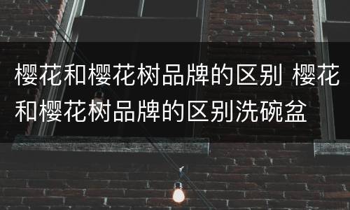 樱花和樱花树品牌的区别 樱花和樱花树品牌的区别洗碗盆