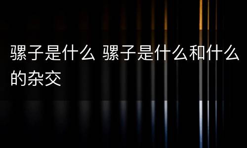 骡子是什么 骡子是什么和什么的杂交