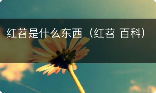 红苕是什么东西（红苕 百科）