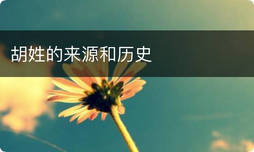 胡姓的来源和历史