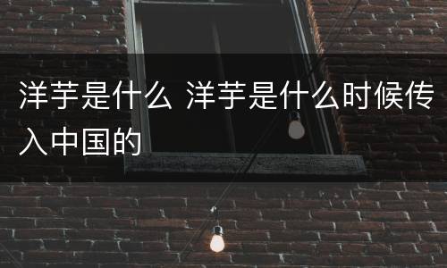 洋芋是什么 洋芋是什么时候传入中国的